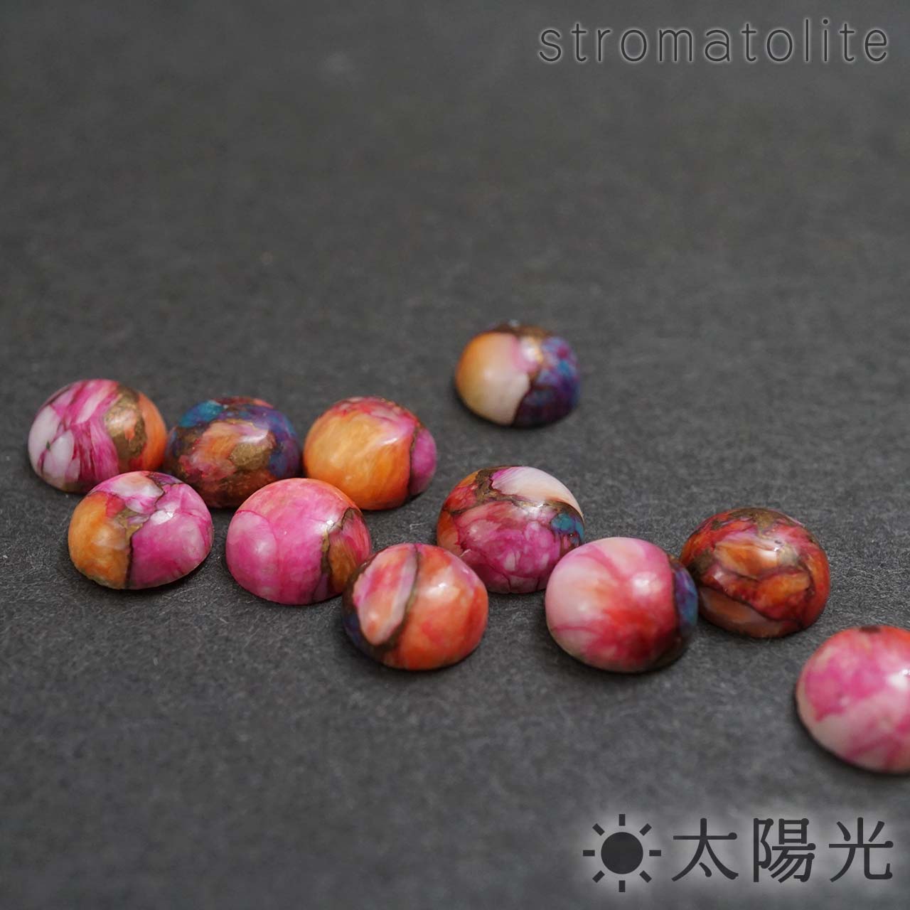 【選べる】オイスターカッパーターコイズ(パープル) ラウンド 7 mm